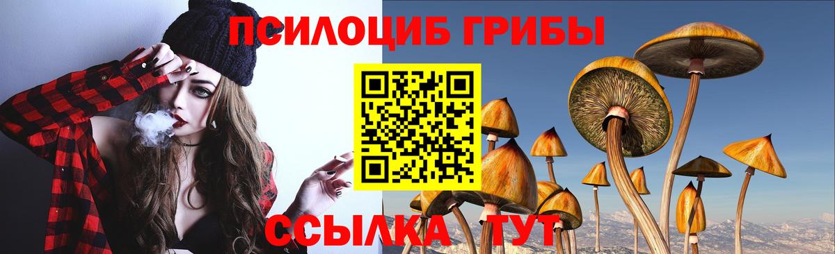 Галлюциногенные грибы Psilocybe  Вход с VPN  Калач-на-Дону  Галлюциногенные грибы мицелий 