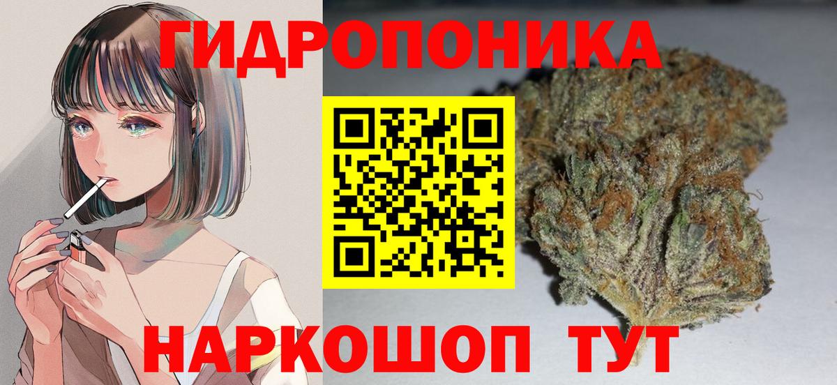 Конопля планчик Калач-на-Дону